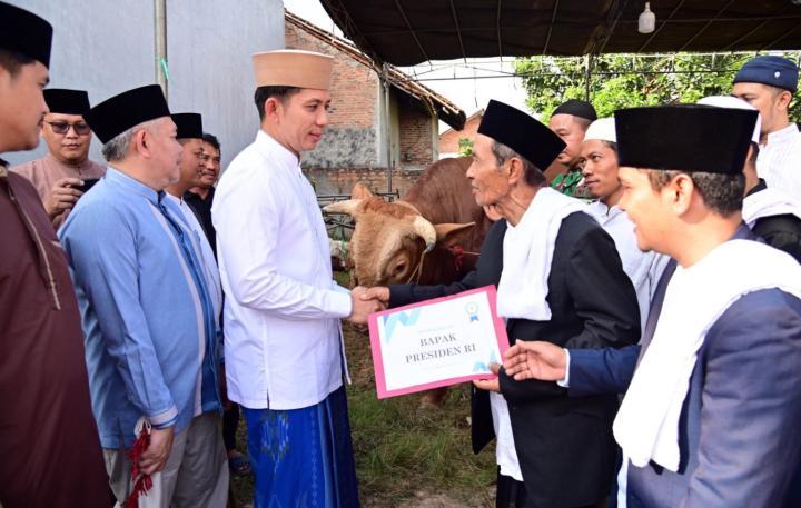 sapi Kurban dari Prabowo Tiba di Lampung Selatan, Bupati Egi: Ini Bukti Negara Hadir untuk Rakyat